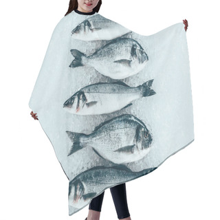 Personality  Top View Of Fresh Gourmet Uncooked Seafood On Ice  Hair Cutting Cape