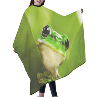 Personality  Frog Peeking Out Hair Cutting Cape