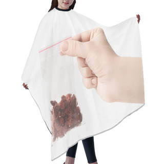 Personality  Hand Holding Plastic Transparent Zipper Bag With Home Dry Strawberries Isolated On White, Vacuum Package Mockup With Red Clip. Concept. Hair Cutting Cape