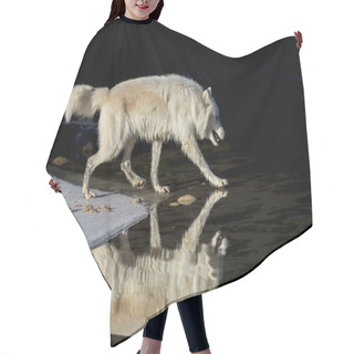 Personality  Arctic Wolves Near Water Hair Cutting Cape