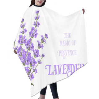 Personality  The Lavender Elegant Card. Hair Cutting Cape