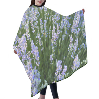 Personality  Purple Hair Cutting Cape
