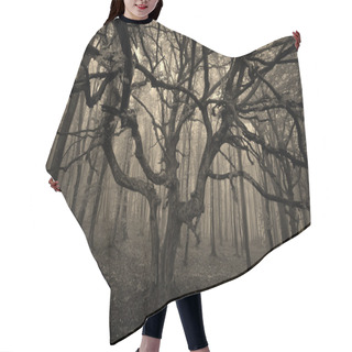 Personality  Dark Tree In A Forest With Fog Hair Cutting Cape