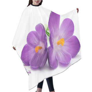 Personality  Crocus Hair Cutting Cape