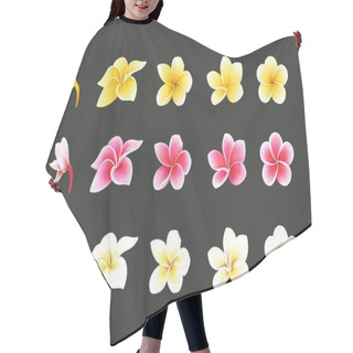 Personality  White, Pink And Yellow Plumeria Flowers Set In Realistic Style Elements Set Hair Cutting Cape
