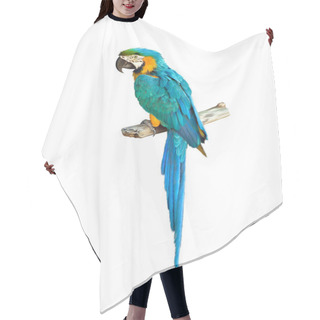 Personality  Colorful Blue Parrot Macaw Hair Cutting Cape