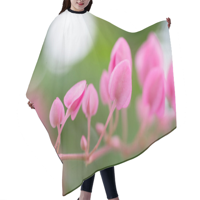 Personality  Coral Vine Plant With Blur Background Hair Cutting Cape