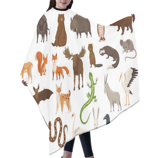 Personality  Animals Of Europe. Nature Fauna Collection. Geographical Local Fauna. Mammals Living On Continent. Vector Illustration In Kids Style Hair Cutting Cape