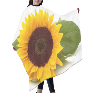Personality  Sunflower Hair Cutting Cape