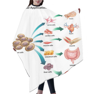 Personality  Stem Cells Hair Cutting Cape