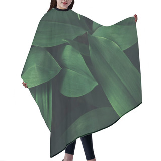 Personality  Full Frame Image Of Plant Leaves Background  Hair Cutting Cape