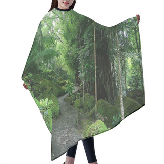 Personality  Landscape In The Summer Forest / Green Trees Summer View, Hiking In The Forest, Sunny Day Hair Cutting Cape