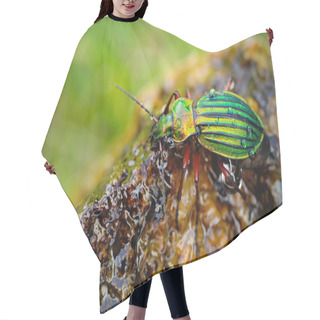Personality  Shiny Golden Ground Beetle Hair Cutting Cape