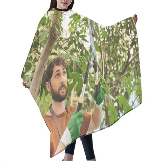 Personality  Handsome Gardener In Gloves And Apron Cutting Branch On Tree With Big Secateurs In Greenhouse Hair Cutting Cape