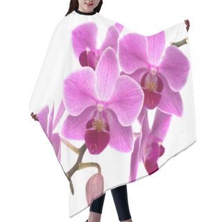 Personality  Orchid Phalaenopsis Hair Cutting Cape