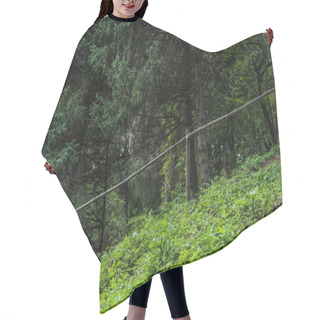 Personality  Green Hill In Pine Forest With Wooden Fence Hair Cutting Cape