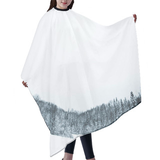 Personality  Clear Sky And Trees Covered With Snow In Carpathian Mountains Hair Cutting Cape