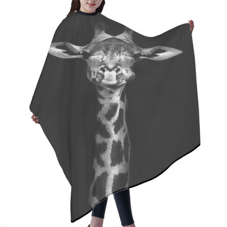 Personality  Giraffe In Black And White Hair Cutting Cape