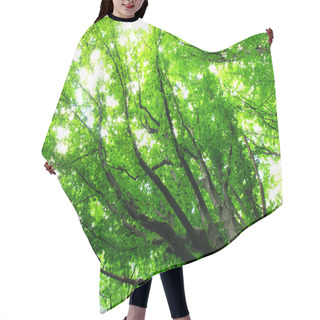 Personality  Green Forest  Background Hair Cutting Cape