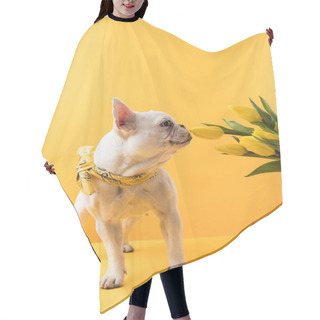 Personality  Funny French Bulldog Sniffing Beautiful Yellow Tulip Flowers On Yellow   Hair Cutting Cape