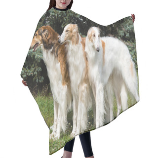 Personality  Borzoi Russian Triad. Hair Cutting Cape