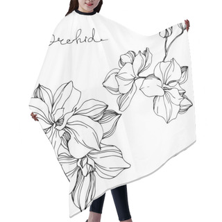 Personality  Vector Orchids. Wildflower Isolated On White. Black And White Engraved Ink Art With 'orchid' Lettering Hair Cutting Cape