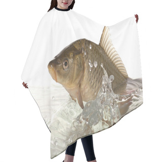 Personality  Big Carp Floats In Transparent Water. Hair Cutting Cape