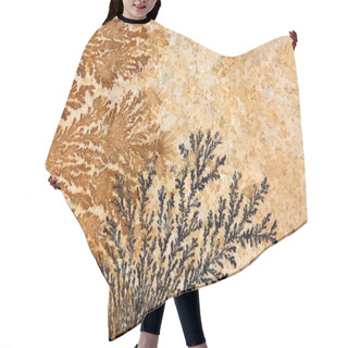 Personality  Dendrites Hair Cutting Cape