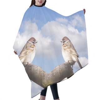 Personality  Fatty House Sparrows Hair Cutting Cape