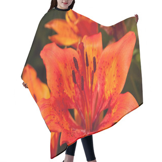 Personality  Lily Tiger Hair Cutting Cape
