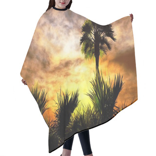 Personality  Wetland - Swamp Hair Cutting Cape
