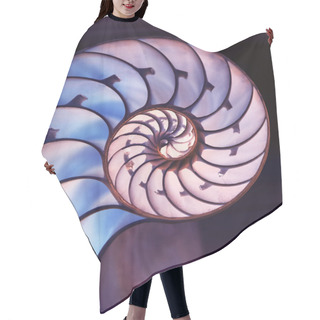 Personality  Cut Away Of Nautilus Shell On Magic Background Hair Cutting Cape