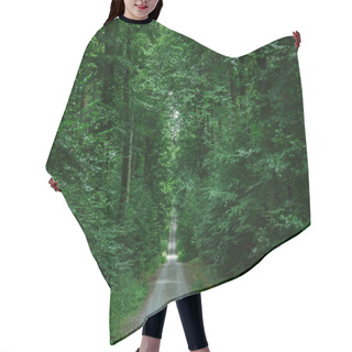 Personality  Road In Green Beautiful Forest In Wurzburg, Germany Hair Cutting Cape