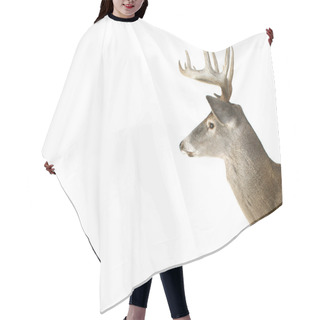 Personality  Whitetail Buck Deer Head Profile Hair Cutting Cape
