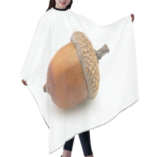 Personality  Acorn Hair Cutting Cape