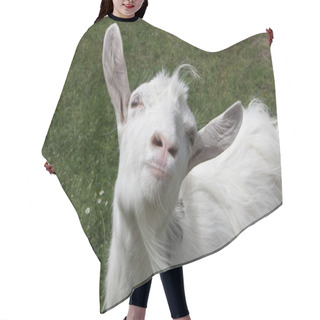Personality  Happy Goat Hair Cutting Cape