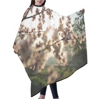 Personality  Blooming Garden On A Sunny Spring Morning Hair Cutting Cape