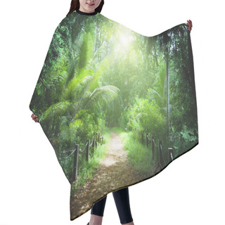 Personality  Way In Jungle Of Seychelles Islands Hair Cutting Cape