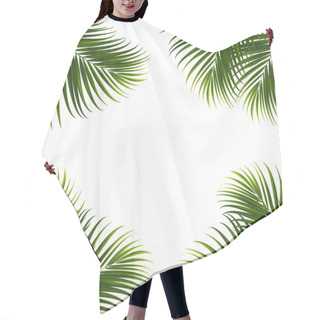 Personality  Coconut Leaves On White Background With Clipping Path For Tropical Leaf Design Element.vector Illustration Design Hair Cutting Cape