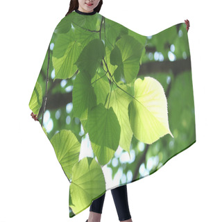 Personality  Fresh Foliage Glowing In Sunlight Hair Cutting Cape