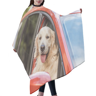 Personality  Beautiful Golden Retriever Dog Sitting In Red Car And Looking At Camera Through Window Hair Cutting Cape