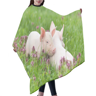 Personality  Piglets On Grass Hair Cutting Cape