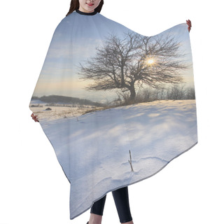 Personality  Winter Time Hair Cutting Cape