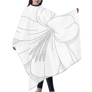 Personality  Beautiful Lily Flower On White Background. Monochrome Illustration Hair Cutting Cape