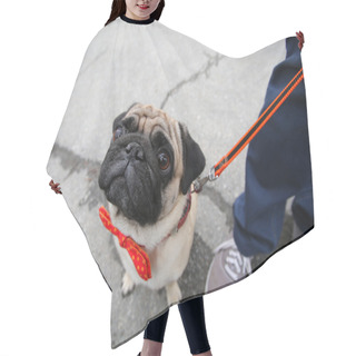 Personality  Funny Pug Hair Cutting Cape
