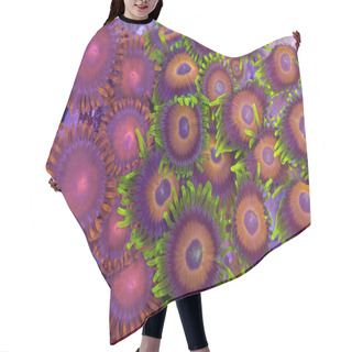 Personality  Zoanthids Hair Cutting Cape