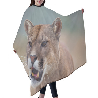 Personality  Open Mouthed Hair Cutting Cape