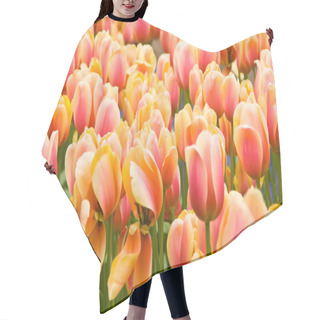 Personality  Pink And Yellow Dutch Tulips Flowerbed Hair Cutting Cape