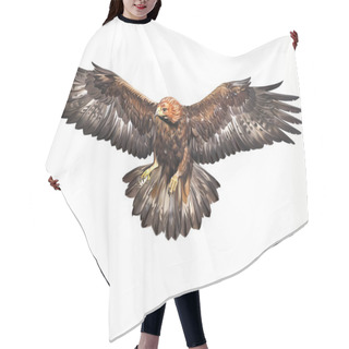 Personality  Golden Eagle (Aquila Chrysaetos) In Flight, Large Eagle Flying, Large Bird Of Prey Of The Hawk Family, Realistic Drawing, Illustration For Animal Encyclopedia, Isolated Image On White Background. Hair Cutting Cape