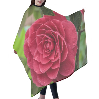Personality  Camellia Japonica Hair Cutting Cape